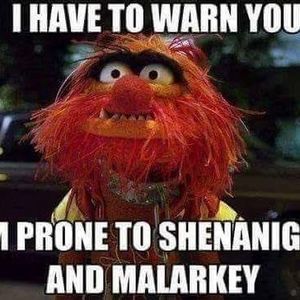 Meet your Posher, Debi